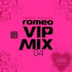 VIP Mix 4 — 2007