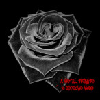 A Metal Tribute To Depeche Mode, Vol. 01 — 2008