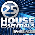 25 House Essentials, Vol. 06 — 2010