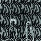 Zebra — 2010