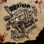 Zombie Nation — 2010