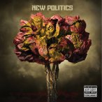 New Politics — 2010