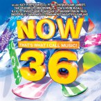 Now That's What I Call Music!, Vol. 36 (US Series) — 2010