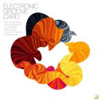 Electronic Groove Card — 2011