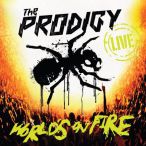 World's On Fire — 2011