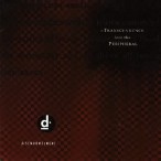 Transcendence Into The Peripheral&nbsp;&mdash;&nbsp;1993