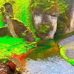 Rainforest&nbsp;&mdash;&nbsp;2011