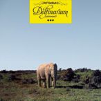Delfinarium — 2012
