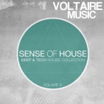 Voltaire Sense Of House, Vol. 04 — 2012