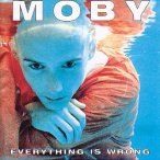 Everything Is Wrong&nbsp;&mdash;&nbsp;1995