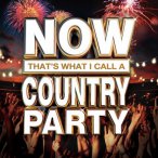 Now That's What I Call A Country Party&nbsp;&mdash;&nbsp;2013