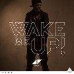 Wake Me Up — 2013