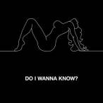 Do I Wanna Know — 2013