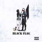Black Flag — 2013