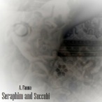 Seraphim And Succubi — 2013