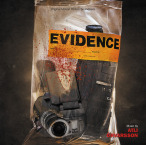 Evidence — 2013