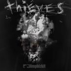 Thieves — 2013