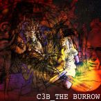 The Burrow — 2013