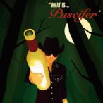What Is... Puscifer — 2013