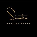 Best Of Duets — 2013