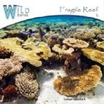 Fragile Reef — 2014