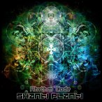 Shanti Planti Rhythm Code — 2014