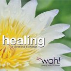 Healing (A Vibrational Exchange) — 2014
