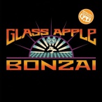 Glass Apple Bonzai — 2015