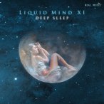 Liquid Mind XI (Deep Sleep) — 2016