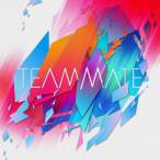 TeamMate — 2017