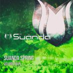 Suanda Spring, Vol. 04 — 2017