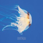 Jellyfish — 2017