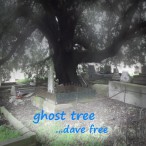 Ghost Tree — 2017