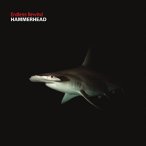 Hammerhead — 2017