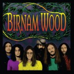 Birnam Wood — 2017