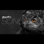 Songbird — 2018