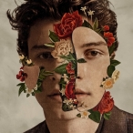 Shawn Mendes — 2018