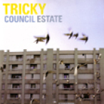 Council Estate — 2008