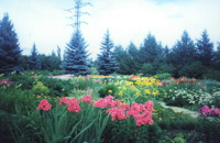 Ботанический сад. Фото с сайта floo.ru