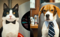 Кадр из фильма «Кошки против собак: Месть Китти Галор»
