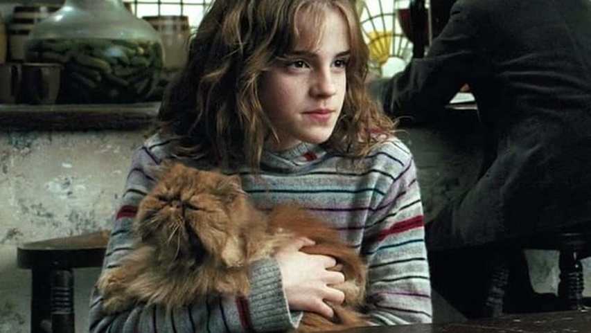 Кадр из фильма «Гарри Поттер и узник Азкабана»