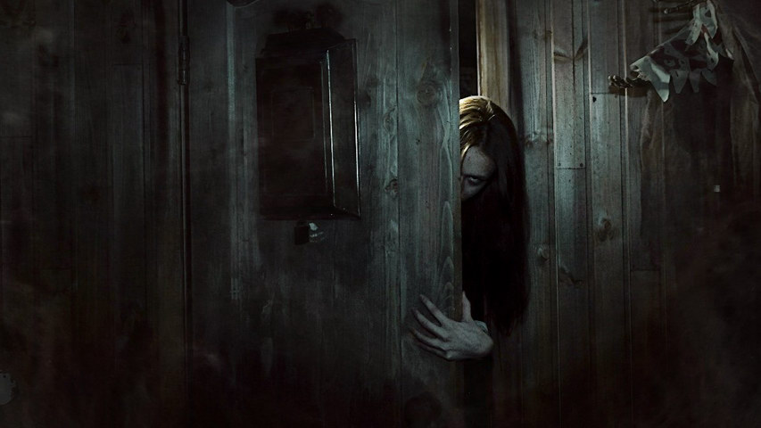 Бабка открой дверь. Дом страха. Страшная дверь. Открытая дверь хоррор.