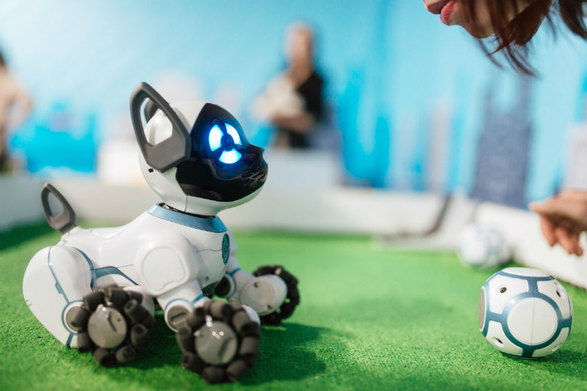 Vevs mi home для робота. Выставка роботов. Робот собака на выставке роботов. Роботы хоум анимэйшен.