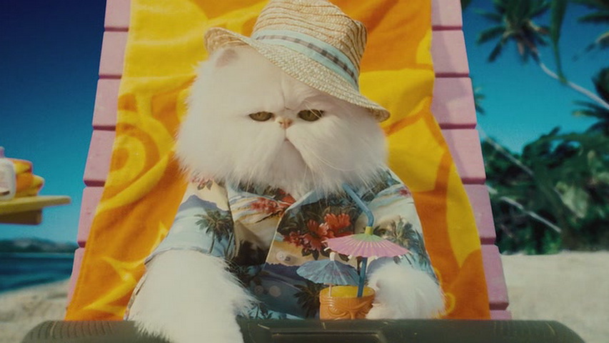 Кадр из фильма «Кошки против собак: Месть Китти Галор» 