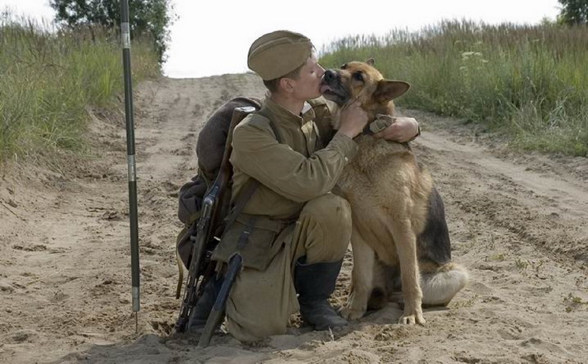 ���� �� ������ ������� � �����