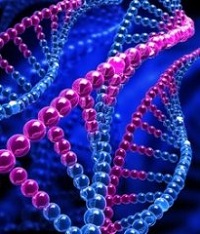 .    nanonewsnet.ru 