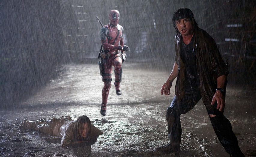 ������ @ weburg.net