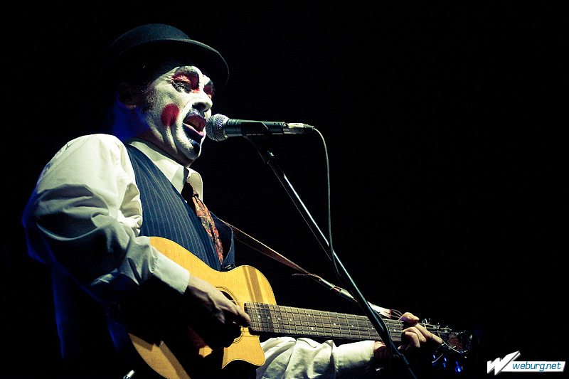 Tiger lillies crack