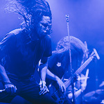  Cannibal Corpse  ,  16