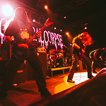  Cannibal Corpse  ,  25
